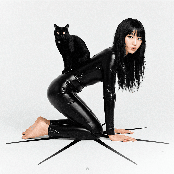 Los Gatos Favoritos de Tu Gata