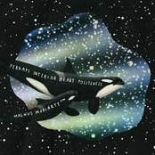 Perhaps Interios Heart Politeness