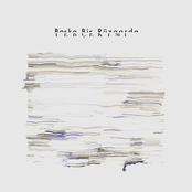 Başka Bir Rüzgarda