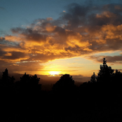 Return To Love Forever (Golden Hour - Volume 4)