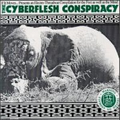 The Cyberflesh Conspiracy