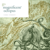 Go Magnificent Octopus