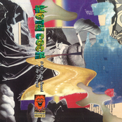 Moth Cock: 0-100 at the Speed of the Present