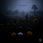 Serenity