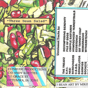 Three Bean Salad - C90 comp.