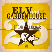 Tocar y Luchar (1988-2013)