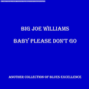 Baby Please Don't Go by Big Joe Williams