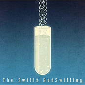 The Solution by The Swills