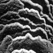 Superstar DJs Brandon Block & Alex P