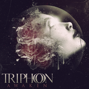 Textures by Triphon