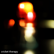 Cricket Therapy