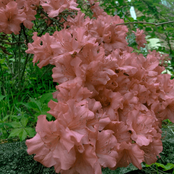 Every Time You Leave