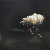 Tell Me True (feat. Adriel Denae)