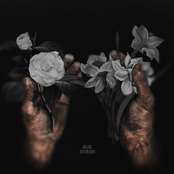 За всё надо платить