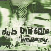 Skunk Drunk by Dub Pistols