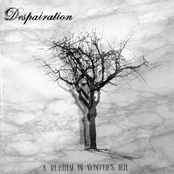 Letters From A Coffin by Despairation