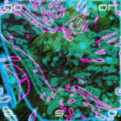 Go On - Single