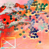 Tidal Disruption Event