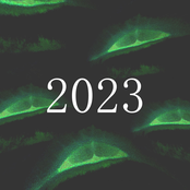 2023