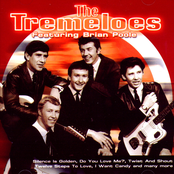 the tremeloes