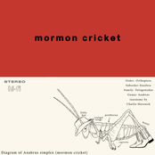 Charlie Havenick: Mormon Cricket