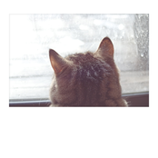 I will talk and you will pretend to care