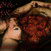 Reforming Humans To Horrific Monolyths