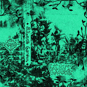 Rehearsal at Alice's Garden II