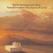 David Sancious: Transformation (The Speed Of Love)
