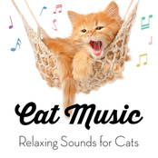 Cat Music - Relaxing Sounds for Cats