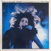 Sogno di una notte d'estate