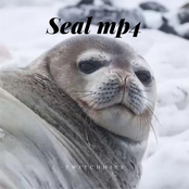 Seal Mp4
