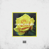 Luv Me Now, Luv Me Never