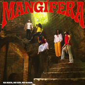 Na Mata, No Céu, No Olhar