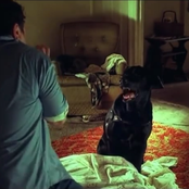 Messages from My Dog