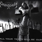 All your Tears will Be Ours