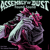 Feline Disguise by Assembly Of Dust