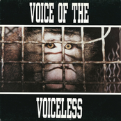 Voice Of The Voiceless