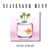 Scavenger Hunt: Never Enough