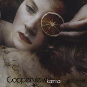 Something To Hide by Copperview