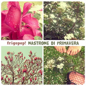 Nastrone di primavera