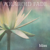 Polaroid Fade: Bliss