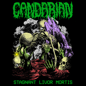 Stagnant Livor Mortis