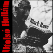 Black Rose