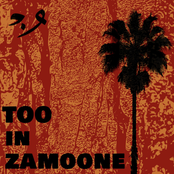 Too In Zamoone