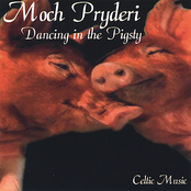 Dancing in the Pigsty