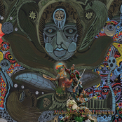 Midnight's Shared Blossom