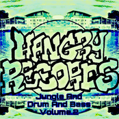 Jungle and Drum and Bass Vol.2