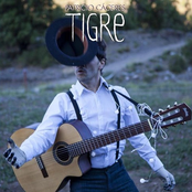 Tigre