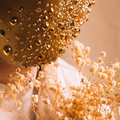 Mr Tout Le Monde: Home